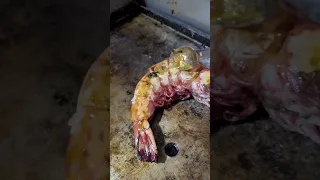 🦐 Cooking up AMAZING seafood in Trinidad 🇹🇹  #foodshorts #caribbean #trinidad