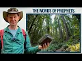 The Redwood Secret How to Build Unshakable Faith in 2026