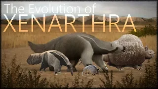 Evolution of sloths and armadillos