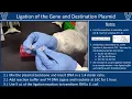 Ligation with T4 DNA Ligase