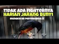 Lagu Salah rawatan bisabikin murai batu tidak keluar fighternya