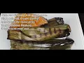 Download Lagu OTAK-OTAK DI BELANDA WAROENG PADANG LAPEK | IRAGURLERR #249