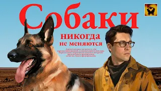 📖 Жуткий рассказ о собаке и парне, от автора "У меня нет рта, но я должен кричать"
