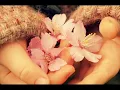 En el Jardín -  Alejandro Fernández y Gloria Estefan