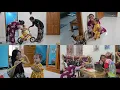 Lagu KINARA SEMUA DI RAYAKAN - Mbah Damis \u0026 Mbah kusyadi seneng banget roh kepinteran putune 🤗🥰🥳