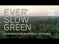 Lagu Ever Slow Green Full Movie (S.O.S. from Auroville)