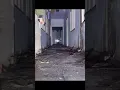 Download Lagu when indonesians see ghost funny creepy tiktok😂 #tiktok #shorts #fyp #funny #memes #indonesia #ghost