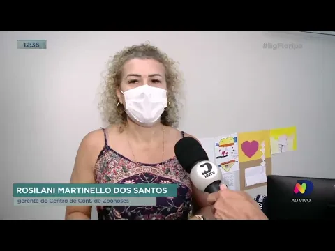 Mais de 200 focos de mosquito da dengue encontrados apenas esse ano