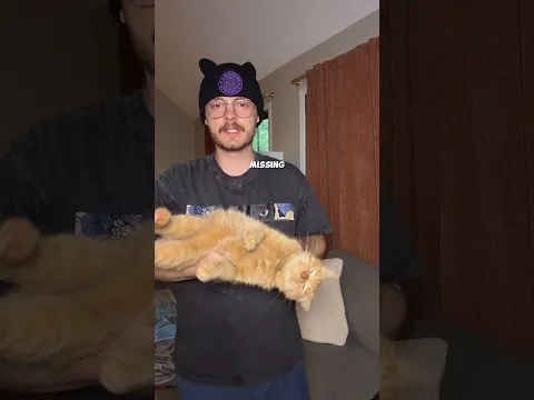 How am I supposed to pick him up