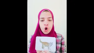 تعليم نطق كلمه قطه للأطفال Shortsvideo  تعليم نطق كلمه قطه للأطفال Shortsvideo
