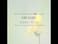 Spring Choir