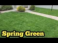 Spring Front Lawn Update After Applying Lowes Sta Green Fertilizer