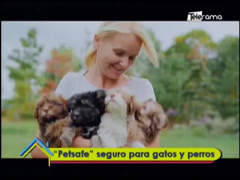 Petsafe seguro para gatos y perros