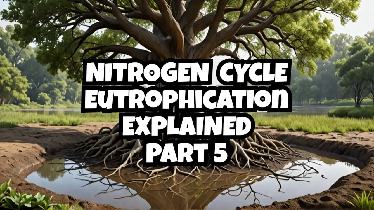 Environment and Ecology part 5 - Nitrogen Cycle - Eutrophication etc