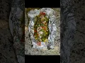 How To Make Oven Roast stuffed Fish