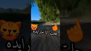 جابولي ماس ولولي 