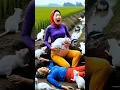 Download Lagu Animasi Nenek Lucu Ibu Hamil Nyungsep Digigit Tikus di Sawah Ada Bebek Lucu