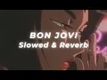 Lagu Bon Jovi - Never Say Goodbye (Slowed and Reverb)