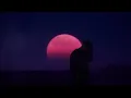 Hamza - Codéine 19 (Clip officiel)