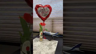 The Reality of Long-Distance Love (Valentine’s Day Special)
