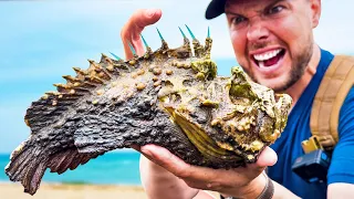 STUNG by a Stonefish Most Painful Sting on Earth