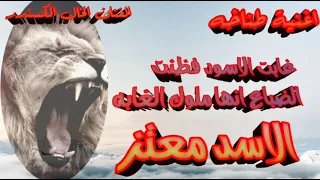 اغينة   غابت الاسود فظنت الضباع انها ملوك الغابة   الفنان الخال الكسندر مطانيخ هيا شات دمار تفجير دندنها