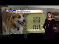 Your Weekend Weather Forecast Presented by KIVI 6 On Your Side