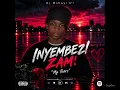 DJ MSHAYI 0¹² – INYEMBEZI ZAM