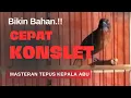 Lagu ‼️PANCINGAN TOP BUAT BIKIN TEPUS KEPALA ABU CEPAT GACOR KONSLET 
