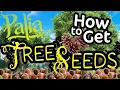Palia How to Get Tree Seeds