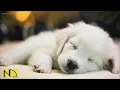 Download Lagu 20 uur kalmerende slaapmuziek 💖 Stressverlichting, slapeloosheid, ontspannende slaapmuziek