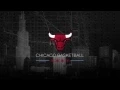 Chicago Bulls Logo