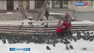 В Омске снова аномальное тепло