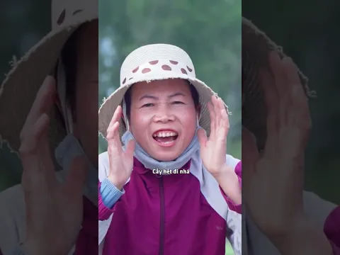 khi hàng xóm thấy tôi lần đầu đi cấy .....