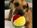 Delilah lost her person over 6 months ago turning her life upsidedown