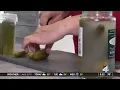 Dill-icious The surprising health benefits of pickles