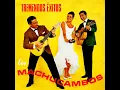 Samba Torto (Remastered)