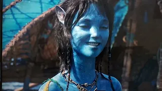 Los hermanos y hermanas espirituales  con los navi y metcaina