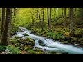 Download Lagu Beautiful Relaxing Music 🌿 Stop Overthinking, Stress Relief Music, Sleep Music | Flowrest Piano #2