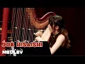 Download Lagu Joe Hisaishi Medley_风之谷/天空之城/幽灵公主/龙猫/千与千寻/哈尔的移动城堡(Harp and Flute Cover)