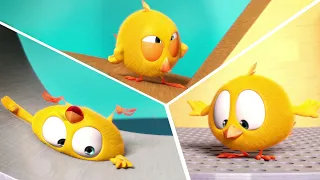 Where's Chicky? | Round and Round, Chicky! | A Xilam Series | Xilam TV