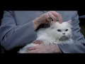 Dr Evil introduction Austin Powers International Man Of Mystery