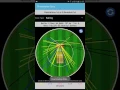 WebSports Demo