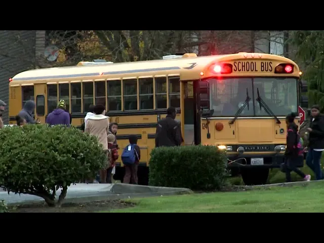 Bus Drivers, School