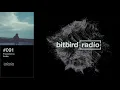 juuku Presents: bitbird radio #091