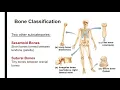 A P Pre-Lab Week 6 Exercises 8 9