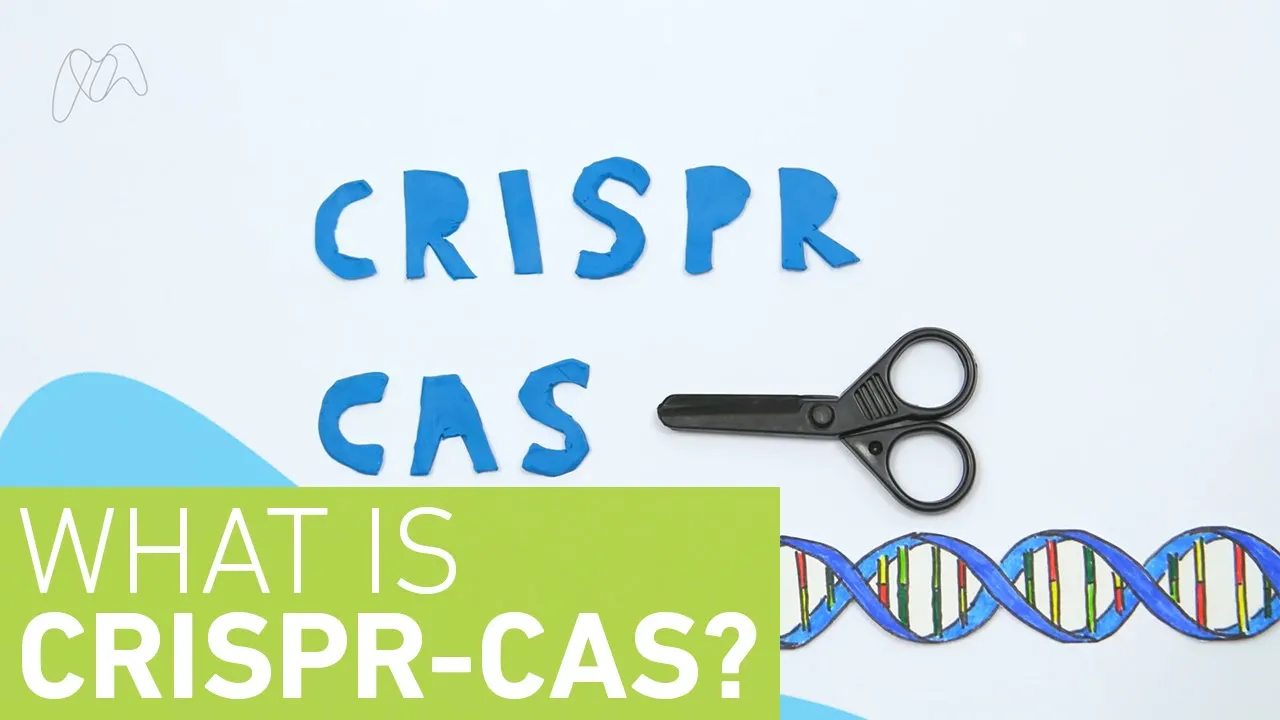 What is CRISPR-Cas?