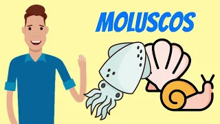 Resumo - MOLUSCOS