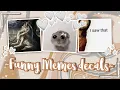 Funny Memes decals decal ids Pt 2 For your Royale high journal Bloxburg Etc xD
