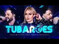 Download Lagu Diego e Victor Hugo - Tubarões (feat @mariliamendoncareal) (IA)